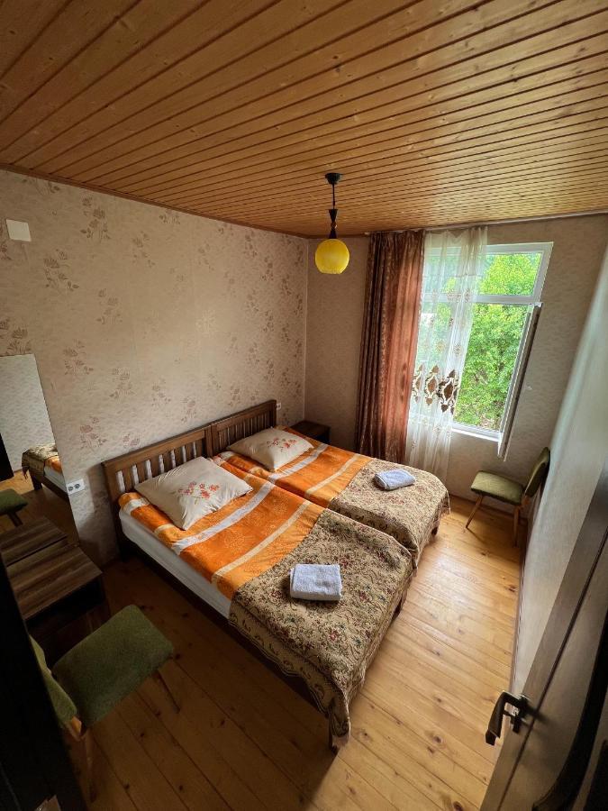 Barbara'S Eco-Cozy Guesthouse Mestia Kültér fotó