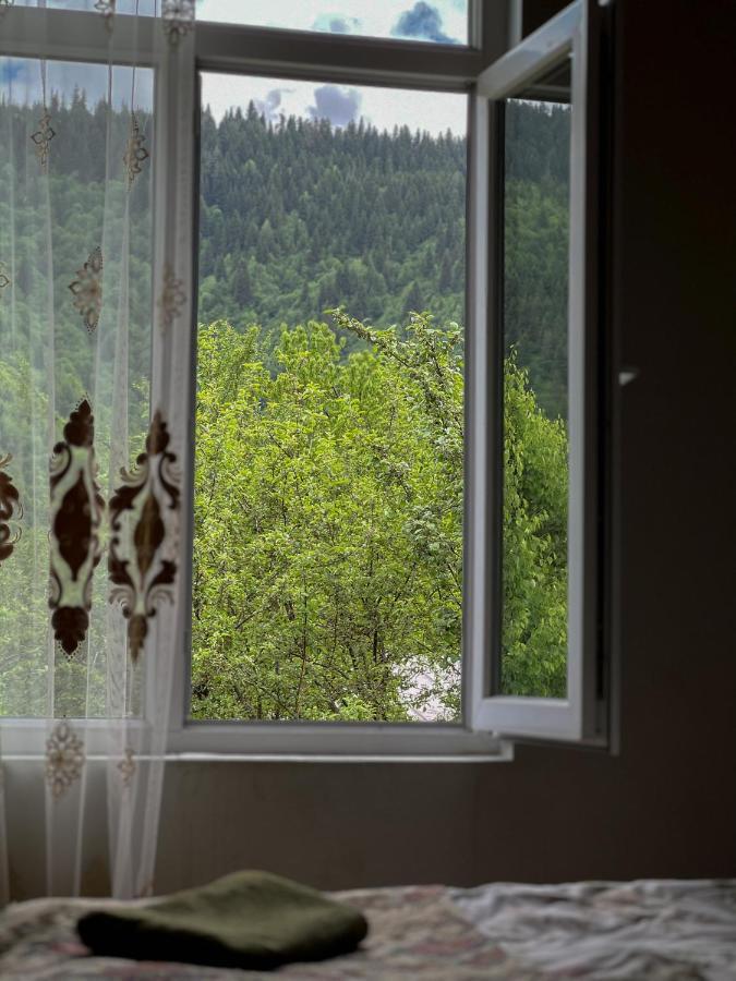 Barbara'S Eco-Cozy Guesthouse Mestia Kültér fotó