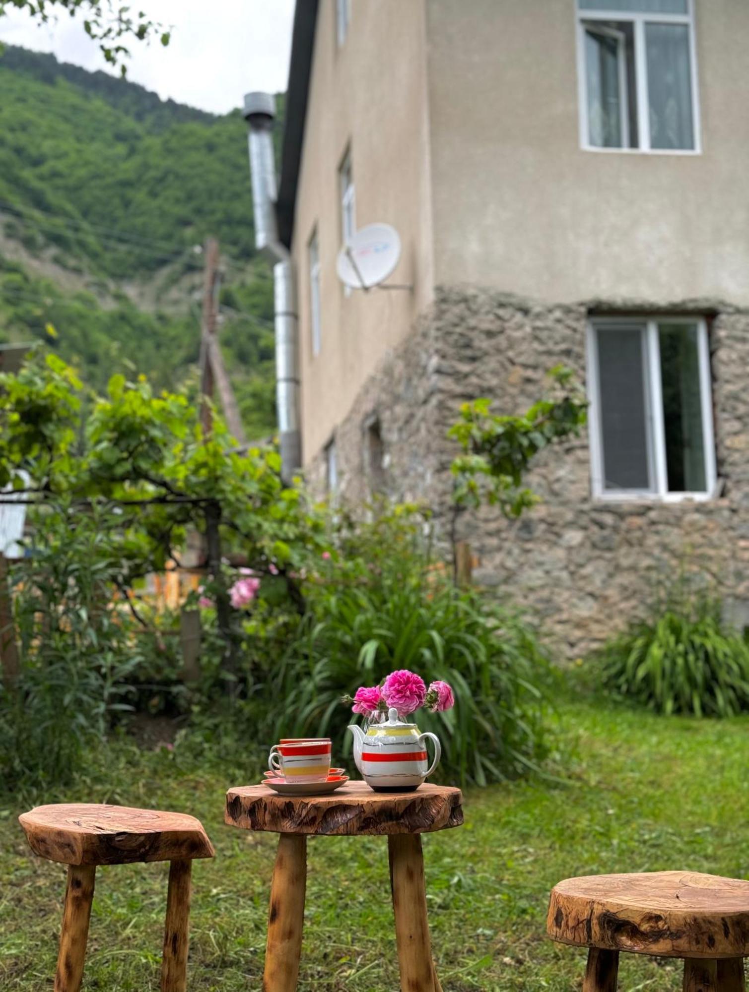Barbara'S Eco-Cozy Guesthouse Mestia Kültér fotó