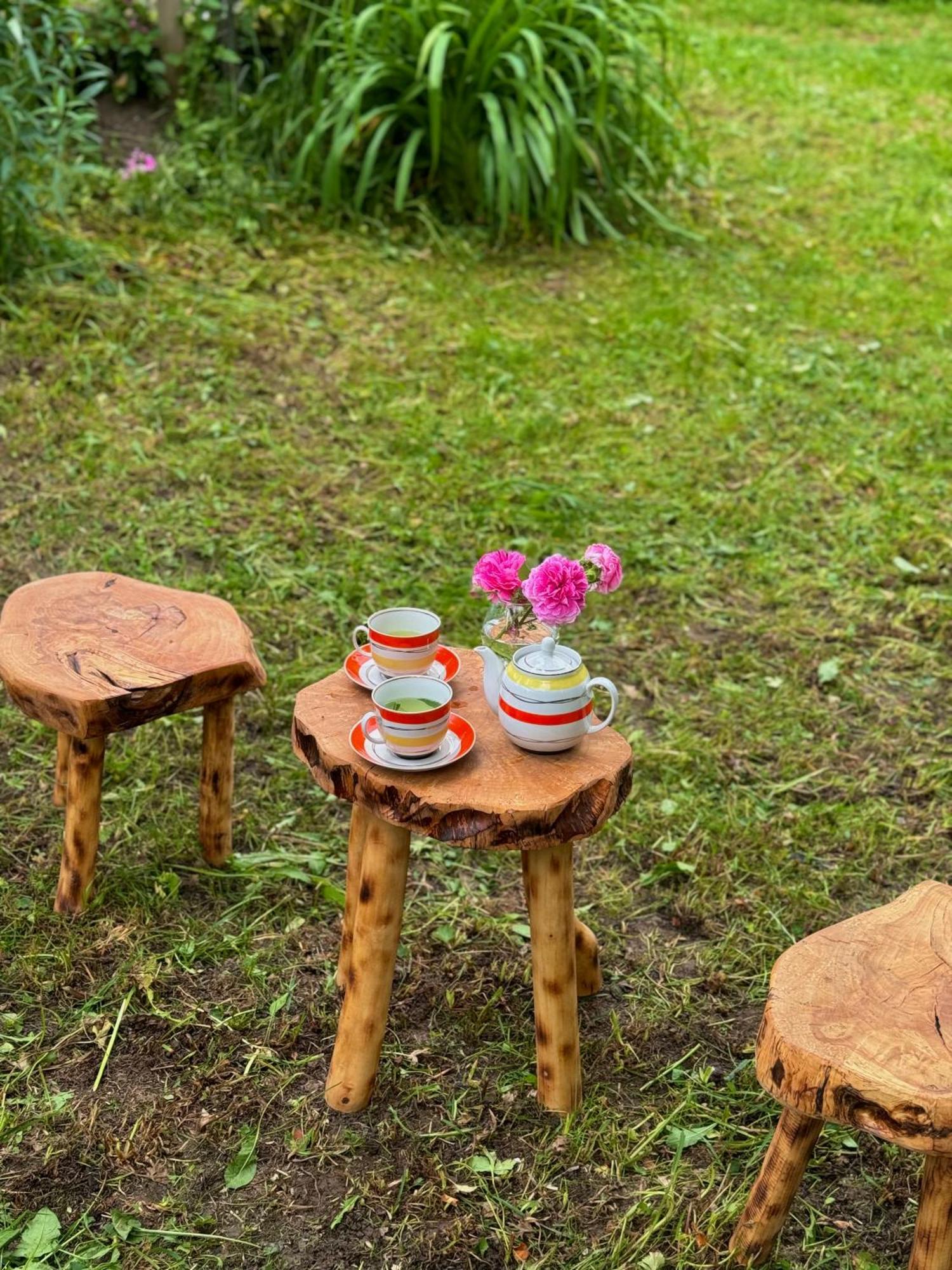 Barbara'S Eco-Cozy Guesthouse Mestia Kültér fotó